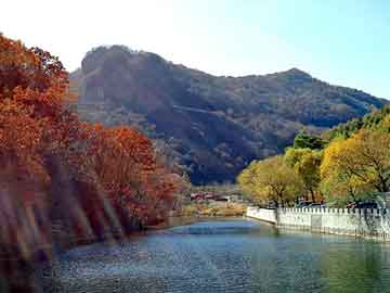 管家婆免费正版资起大全，综漫之春日野悠